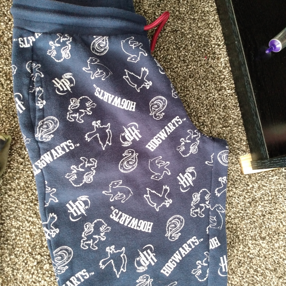 Harry Potter sweat pants